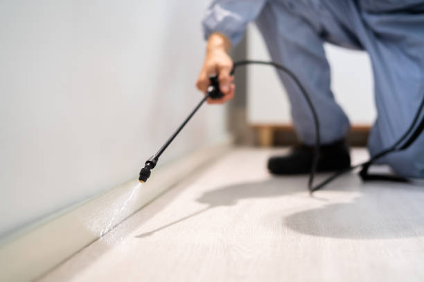 Bed Bug Pre-Treatment Preparation Assessment in Manson