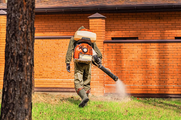 Bed Bug Clearance Verification and Documentation in Manson